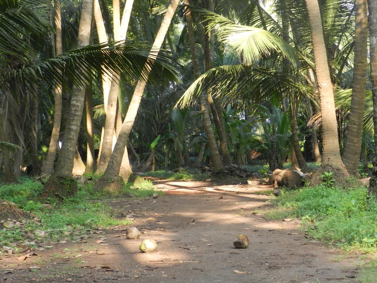 Bangli, The Finest Konkan Living Dapoli Exterior photo