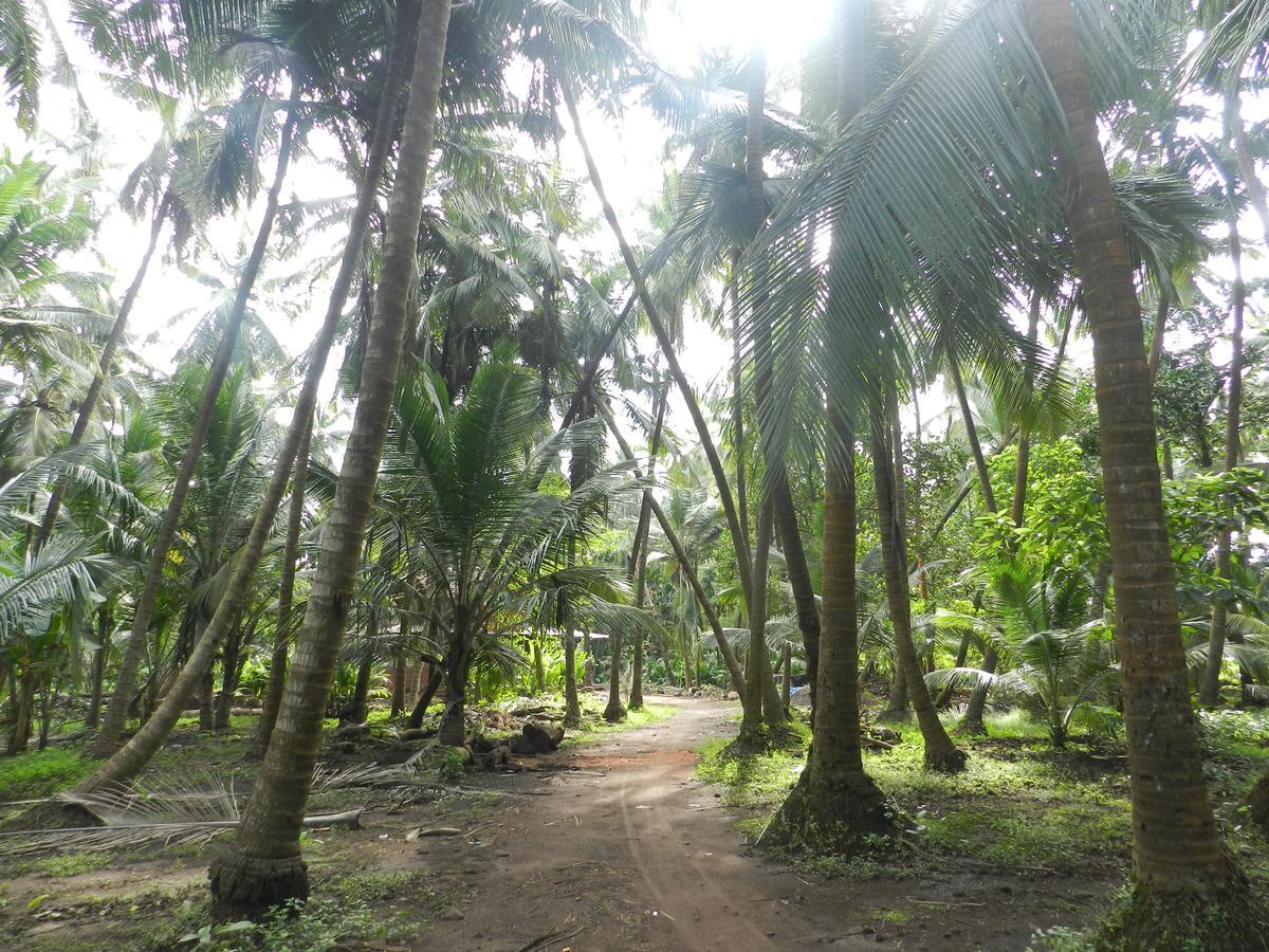 Bangli, The Finest Konkan Living Dapoli Exterior photo
